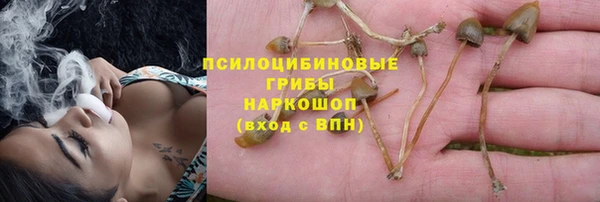 ECSTASY Аркадак