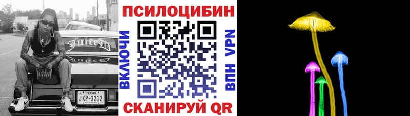 Галлюциногенные грибы MAGIC MUSHROOMS Жиздра