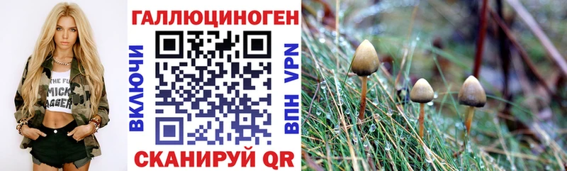 Псилоцибиновые грибы прущие грибы дарнет шоп Жиздра