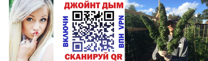 Конопля THC 21%  дарнет шоп  Жиздра 